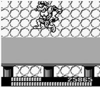 une photo d'Ã©cran de Battletoads sur Nintendo Game Boy
